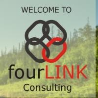 fourLINK Consulting Limited image 1